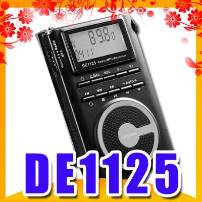 DEGEN DE1125 FM/MW/SW DSP Radio/2GMP3/Recorder